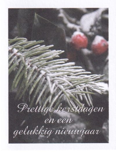 Bloemenkaartjes - 25 Stuks - Mini Kerstkaartjes - 5 x 6.5 cm - Bloemist - Kerstmis - Kadootjes - JK-490