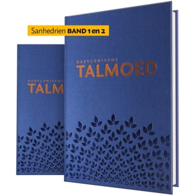 2-Pak Talmoed Sanhedrien I + Ii (Hfst 1-6) - Jacob de Leeuwe