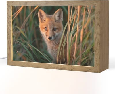 Nachtlampje 30x20 cm - Kinder lampje - Vos - Oranje - Gras - Tafellamp kinderkamer - Slaapkamer lamp - Bedlamp kinderen - Kinderlampje stopcontact - Wandlamp babykamer - Nachtlampjes
