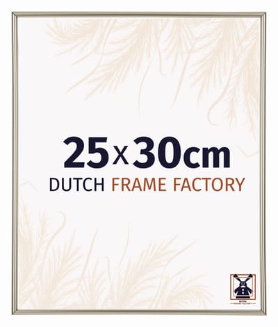 Fotolijst 25x30 cm - Kunststof - Champagne - Angers