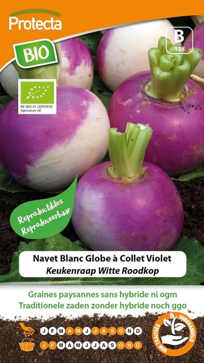 Protecta Groente zaden: Keukenraap Witte Roodkop Biologisch