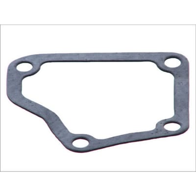 Pakking, thermostaat LEMA 24756.00