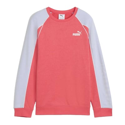 Puma Kinderen Sportstijl Relaxed Fit Raglan Lange Mouwen Sweater (Perzik)