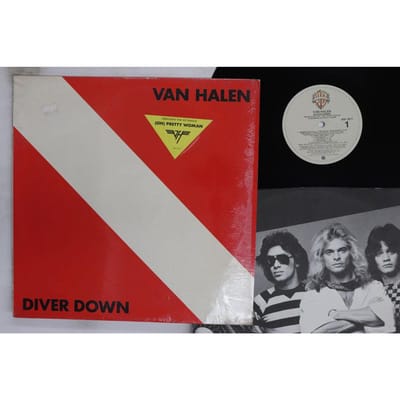 LP Plaat VAN HALEN Diver Down BSK3677 WARNER BROS 1982 VS Metal Gebruikt