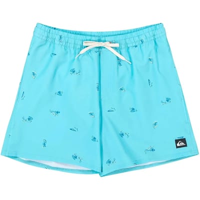 Quiksilver Stretch Printed Volley 16´´ Zwembroek Blauw L Man