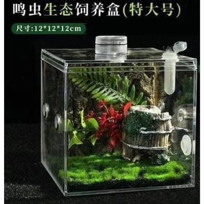 Transparante Springspin Kweekbox Krekels Insecten Ecologische Box Insect Bevochtiging Ecologische Box