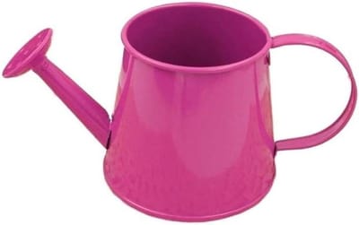Gieter Kamerplanten - Bloemsproeier Tuingieter - Planten Verzorgen - Precisie Watergift - 55 cm Hoog - Ferrous