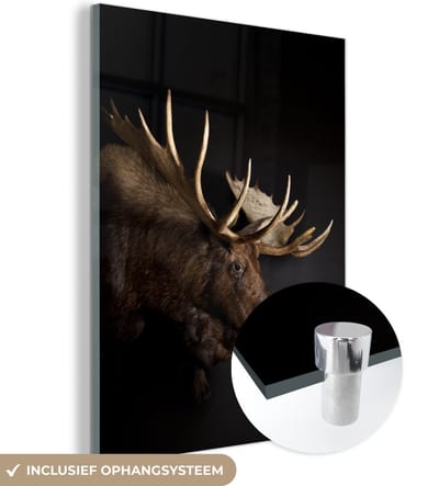 MuchoWow® Glasschilderij 120x160 cm - Schilderij acrylglas - Eland - Gewei - Portret - Foto op glas - Schilderijen