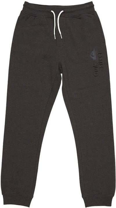 Quiksilver Age Of Blue Trainingsbroek Grijs 12 Years Jongen