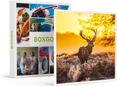 Bongo Bon -2 Heerlijke Dagen Op De Veluwe Met Diner- Cadeaukaart