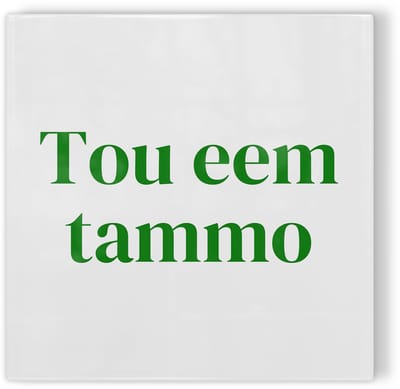 Tegeltje Groningen Tou eem tammo - wit groen - tegeltje stad - tegeltje met tekst