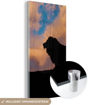 MuchoWow® Glasschilderij 20x40 cm - Schilderij acrylglas - Leeuw - Zonsondergang - Wild - Foto op glas - Schilderijen