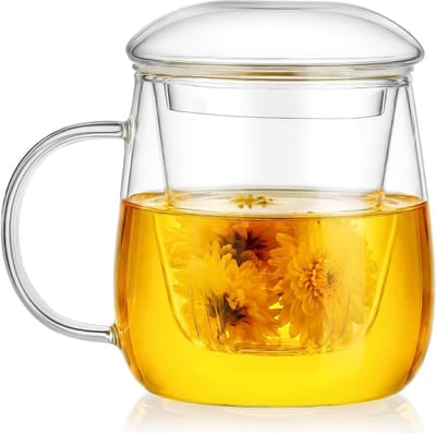 Borosilicaat Glazen Thee Infuser Mok van 400ml met Filter en Deksel, Perfect voor Losse Thee en Bloeiende Dranken, Ideaal Cadeau voor Theeliefhebbers