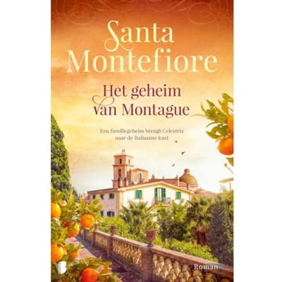Het Geheim Van Montague - Santa Montefiore