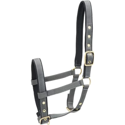 Nylon hoofdstel voor paard Kieffer