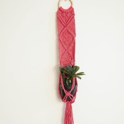 Macramé Pakket Planthanger Bali Coral