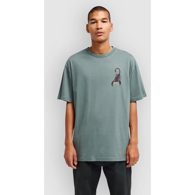 RVCA Scorpo T-Shirt groen