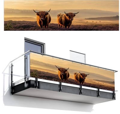 Balkonscherm 300x80 cm - Balkonposter Schotse hooglanders - Heide - Landschap - Dieren - Balkon scherm decoratie - Balkonschermen - Balkondoek zonnescherm