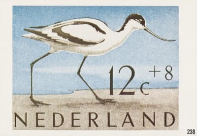 Briefkaart met afbeelding Kluut postzegel