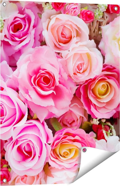 Gards Tuinposter Roze Rozen Achtergrond - Bloemen - 60x80 cm - Tuindoek - Tuindecoratie - Wanddecoratie buiten - Tuinschilderij