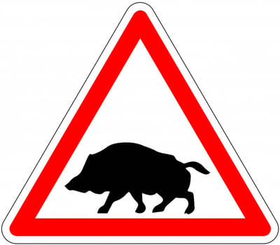 Pas op everzwijnen bord - kunststof 150 mm