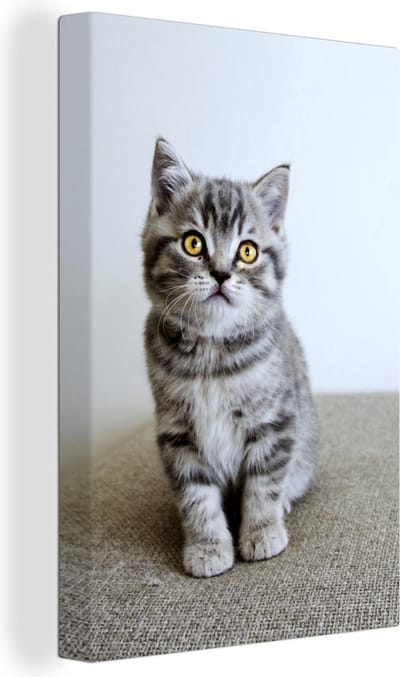 Canvas Schilderij Kitten - Ogen - Geel - Meisjes - Kinderen - Jongens - Kids - 20x30 cm - Wanddecoratie