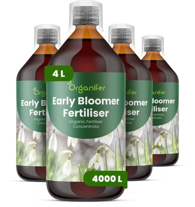 Vloeibare Meststof Voor Vroegbloeiende Planten 4X1 Voor 4000 L - Npk 3-4-3 - Beter Bloemgrootte - Kleurintensiteit - Sierwaarde Ondersteunt Krachtige Vroege Seizoensgroei Bij Alle Vroegbloeiende Planten - Organifer