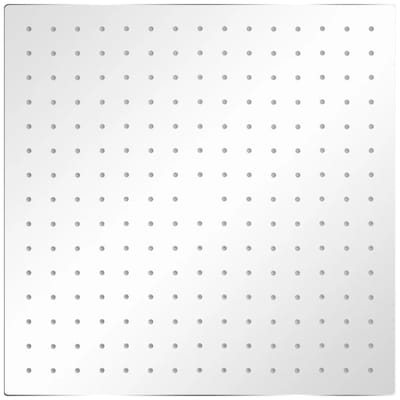 vidaXL - Regendouche - roestvrij - staal - vierkant - 40x40 - cm