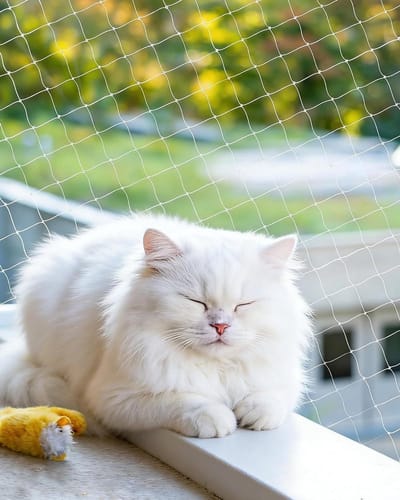 Kattennet Balkon - Veiligheidsnet Kat - Katten Veilig Houden - Zonder Boren Bevestigen - 10 x 3 Meter - Transparant