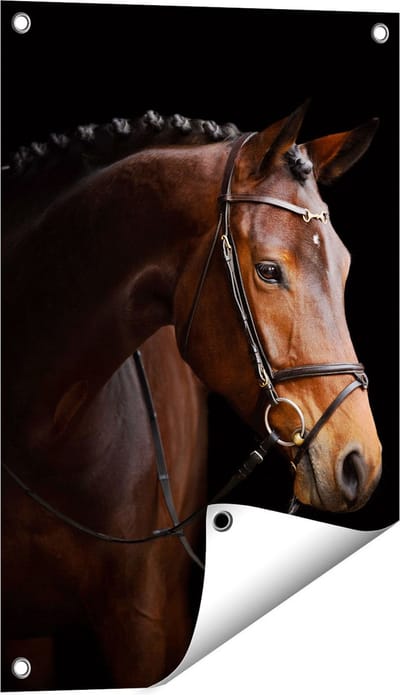 Gards Tuinposter Bruin Paard op een Zwart Achtergrond - 40x60 cm - Tuindoek - Tuindecoratie - Wanddecoratie buiten - Tuinschilderij