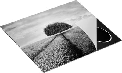 Chefcare Inductie Beschermer Groene Boom in de Lavendel Bloemen - Zwart Wit - 60x50 cm - Afdekplaat Inductie - Kookplaat Beschermer - Inductie Mat