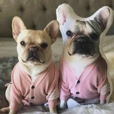 Franse Bulldog Pluche Kussen Met Dubbelzijdige Bedrukking En Verborgen Rits, Geschikt Voor Verjaardag 10cm