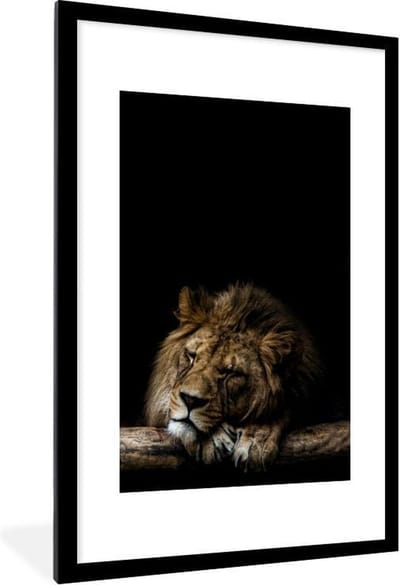 Fotolijst incl. Poster - Boomstam - Leeuw - Wild - 60x90 cm - Posterlijst