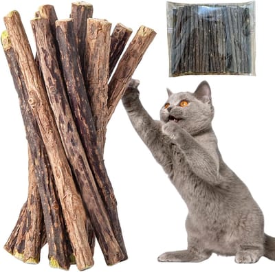 Allecto Plus - Kauwsticks voor katten - Tandverzorging en speelgoed - 40 stuks - Natuurlijk kauwhout voor gezonde tanden van jouw kat