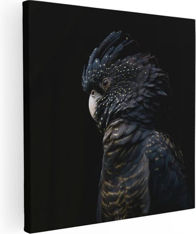Artaza Canvas Schilderij Zwarte Vogel - 30x30 cm - Klein - Wanddecoratie Dieren - Muurdecoratie Papegaai - Kamer Accessoires