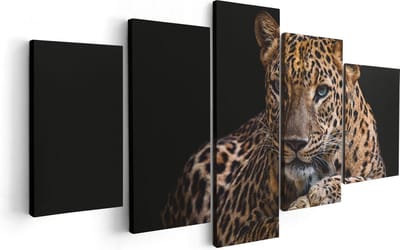 Artaza Canvas Schilderij Vijfluik Luipaard Met Blauwe Ogen - 100x50 - Foto Op Canvas - Canvas Print