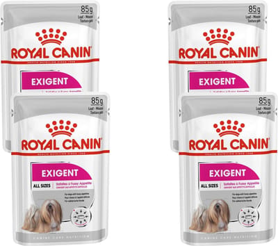 Royal Canin - Exigent Hondenvoer Nat - 48 x 85 gr