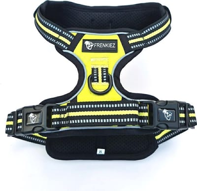 Frenkiez Reflective Basic Dog Harness, Green/yellow, XL
