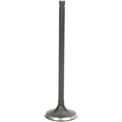 Uitlaatklep FRECCIA R4895/RNT