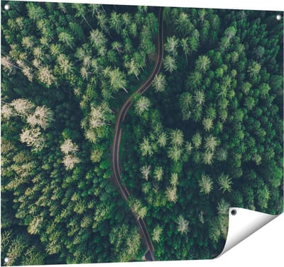 Gards Tuinposter Weg Door Bos met Bomen - Bovenaanzicht - 100x80 cm - Tuindoek - Tuindecoratie - Wanddecoratie buiten - Tuinschilderij