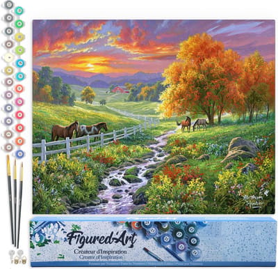Figured'Art Schilderen op Nummer Volwassenen canvas Zonnige weide - Handwerk acrylverf Kit DIY Compleet - 40x50cm zonder frame