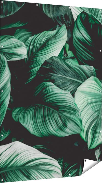 Gards Tuinposter Tropische Groene Bladeren - 120x180 cm - Tuindoek - Tuindecoratie - Wanddecoratie buiten - Tuinschilderij