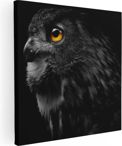 Artaza Canvas Schilderij Dierenkop Uil - 30x30 cm - Klein - Muurdecoratie Vogel - Wanddecoratie Dierenkop - Kamer Accessoires Woonkamer