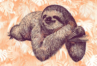 Fotobehang SlothDesign2 DD118135 A.S. Création Atelier 47 | Goedkoop fotobehang