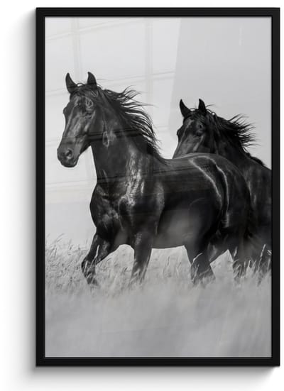 Poster in lijst - Fotolijst 60x90 cm - Posters - Paarden - Gras - Zwart - Wit - Posterlijst zwart - Decoratie - Wanddecoratie woonkamer - Muurdecoratie slaapkamer