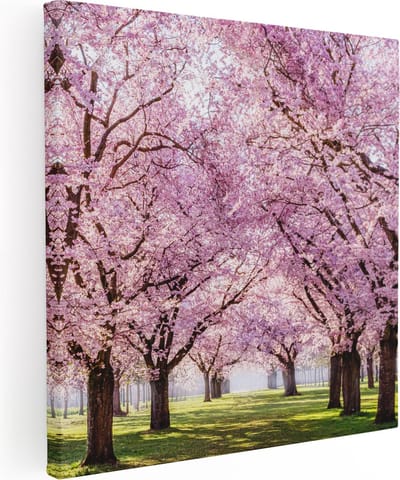 Artaza Canvas Schilderij Kersenbloesem - 80x80 cm - Wanddecoratie Bomen - Muurdecoratie Bos - Schilderijen Op Canvas Natuur