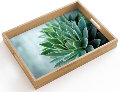 Dienblad hout 40x30 cm - Schootdienblad - Vetplant - Bladeren - Groen - Wazig - Borrelplank rechthoek - Plateau dienbladen