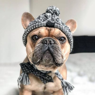 Winter Huisdier Kat Hond Hoed Muts Kerst Warm Winddicht Huisdier Hoeden Wollen Hond Accessoires Voor Kleine Middelgrote Honden Buiten Bulldog Mutsen S 33-41cm gray