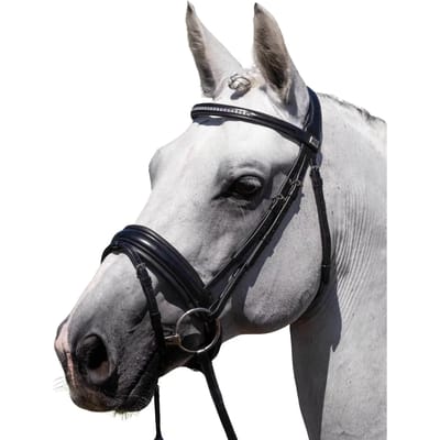 Anatomische paardrijdbride Premier Equine Castello