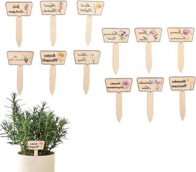 Plantenlabels Hout - Naamstickers Tuin - Planten Identificeren - Waterproof Ontwerp - 11x6.7cm 12 Stuks - Multicolor